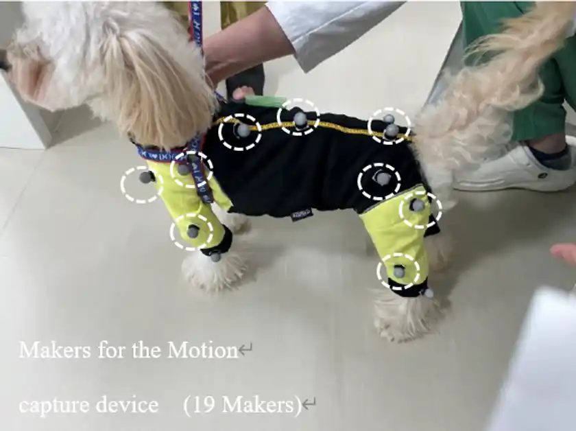 モーションキャプチャ用マーカーの配置