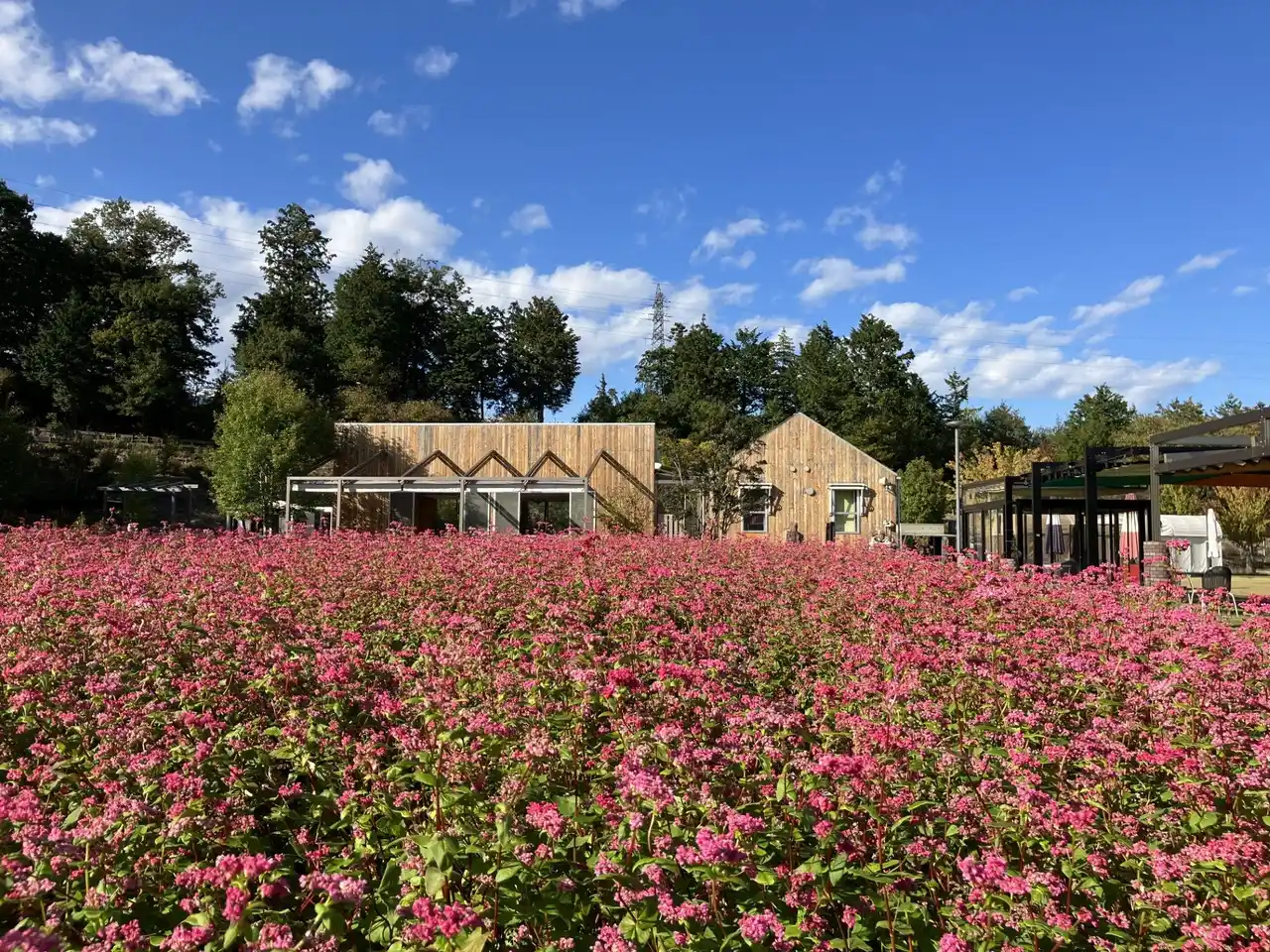 長野県が発行する「長野県グリーンボンド」にタカノが投資
