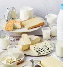 【Cniel】 持続可能性への包括的アプローチを「フランス酪農産業の社会的責任2024」レポートで公開