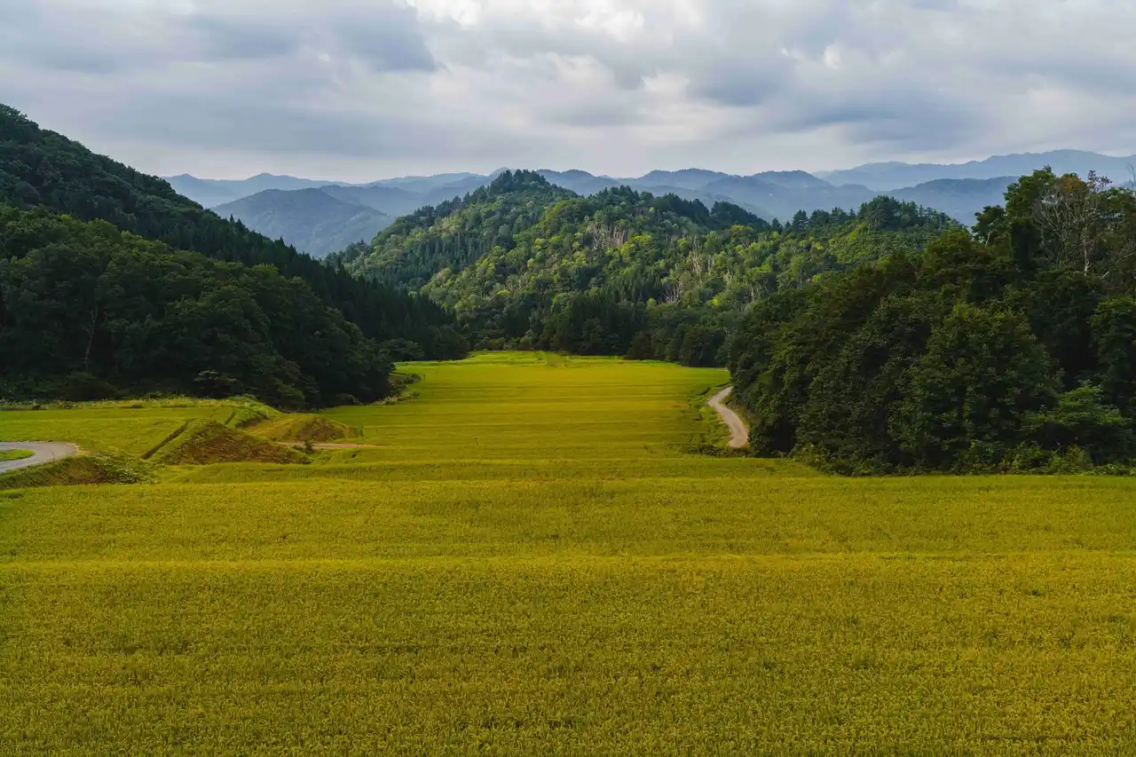 【合同会社ねっか】只見町と包括連携協定を締結｜“只見らしさ”を未来へ。地域とともに育む、自然共生とものづくりの新しいかたち