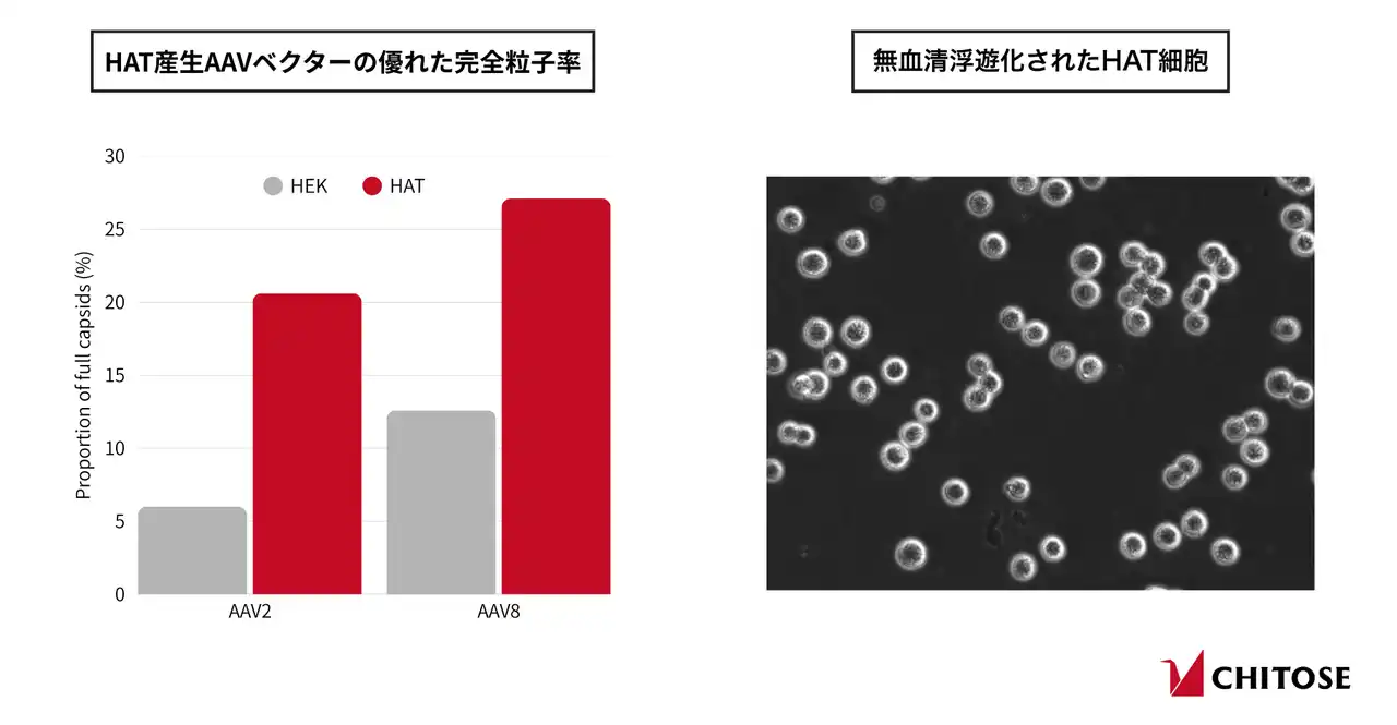【ちとせグループ】 遺伝子治療用ウイルスベクター生産用宿主細胞として新たに開発されたHAT細胞が『Molecular Therapy Methods & Clinical Development』誌に掲載、商用提供開始