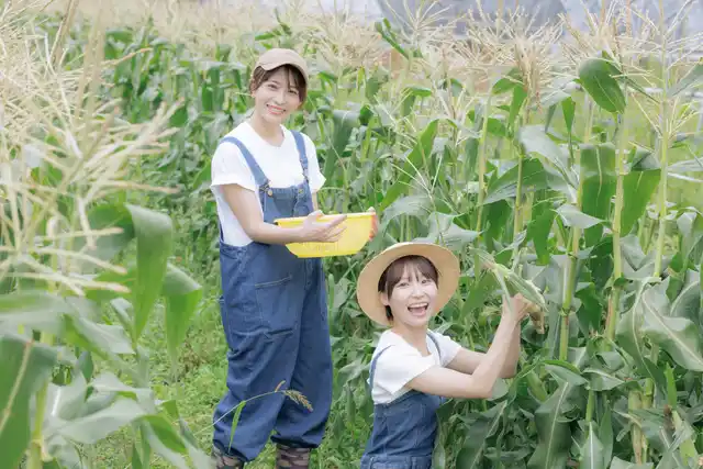 ABC株式会社、農業法人の事業承継サービスを開始