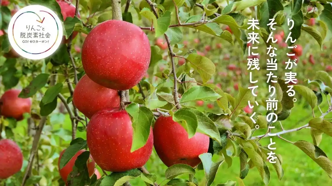 地球温暖化から信州りんごを守る！信濃毎日新聞社がバイオ炭普及のためのクラウドファンディングを開始