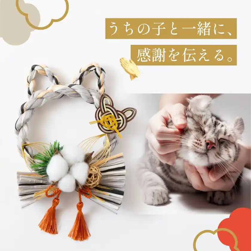 しめニャわ(キジトラ)