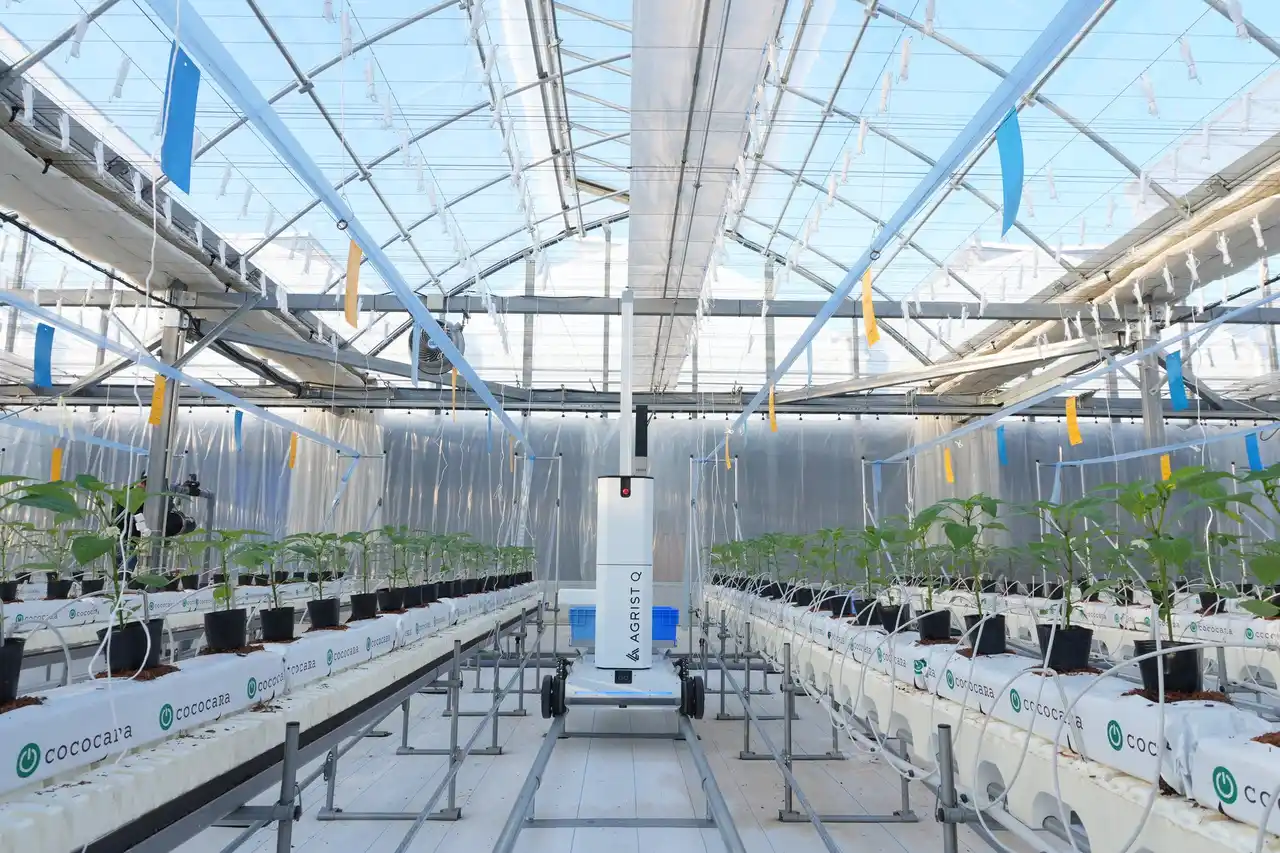 キュウリ自動収穫ロボットのAGRIST、いばらきデザインセレクション2025にて「知事選定」を受賞