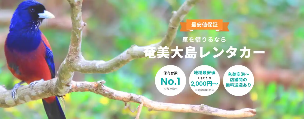 【奄美大島】奄美空港から無料送迎対応の「奄美大島レンタカー」2025年12月オープン