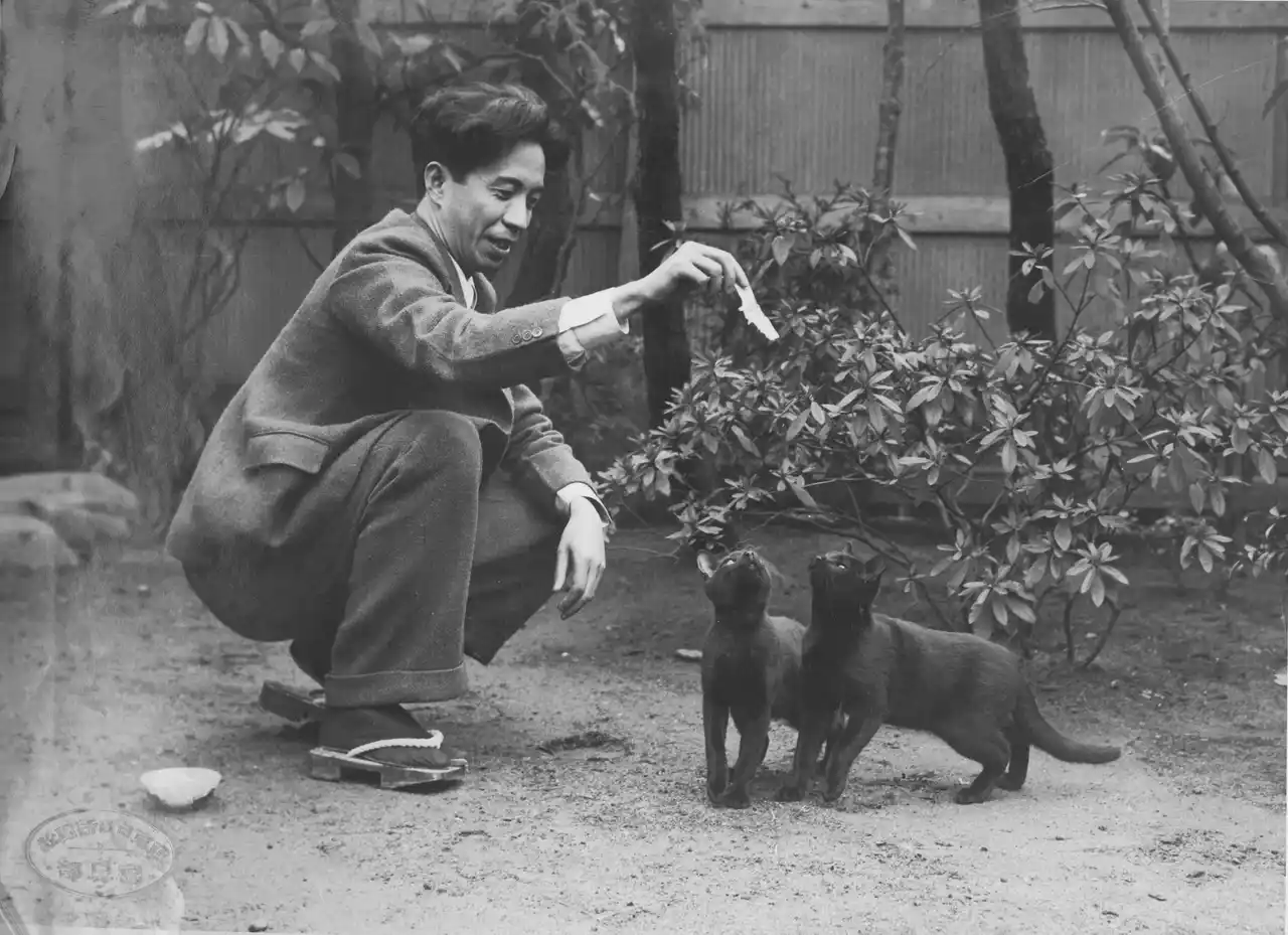 【公益財団法人 横浜市芸術文化振興財団】 お気に入りの一枚に投票。大佛次郎×ねこ写真展2026