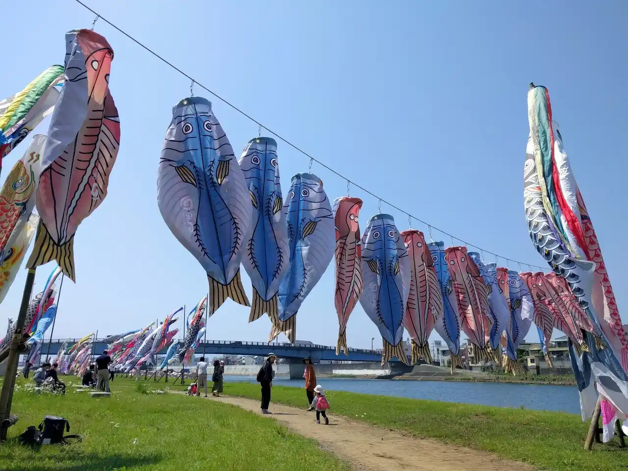 2018-04-22 10.51.05-1.jpg