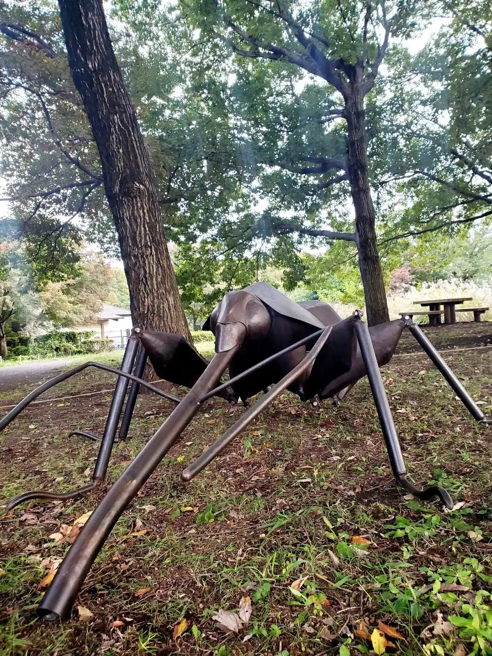 【公益財団法人八王子市学園都市文化ふれあい財団】 【八王子芸術祭】ある惑星の住人 （アリ、ゾウムシ）、旅人（彼岸花）