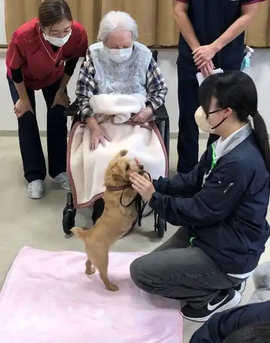 【ＮＳＧグループ】 【開催報告】介護施設でアニマルセラピー実習を開催　医療法人愛広会と国際ペットワールド専門学校が連携