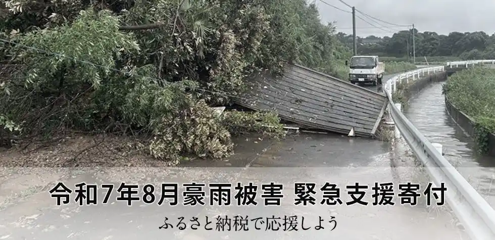 さとふる、「令和7年8月豪雨被害 緊急支援寄付サイト」を開設