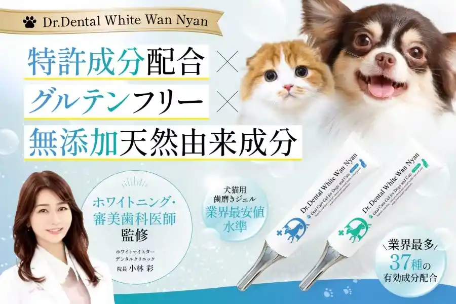 【株式会社プレミアムエクスプライス】 ホワイトニング・審美歯科医師監修デンタルケア、愛犬・愛猫との日々を一日でも長く犬猫用歯磨きジェルを開発実現!7月25日(金) よりキャンプファイヤー社のクラウドファンディングにて先行予約 受付開始!