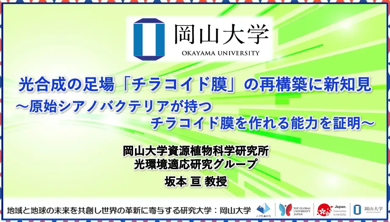 【岡山大学】光合成の足場「チラコイド膜」の再構築に新知見～原始シアノバクテリアが持つチラコイド膜を作れる能力を証明～
