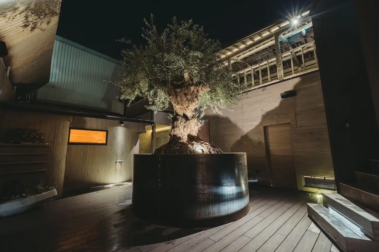 ペア利用や貸切にも対応、岡山のサウナ施設「sauna kolme kyla」8月より岡山県初のウィスキングサービスを導入し体験メニューをさらに拡充