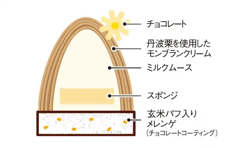 プレーン／断面図