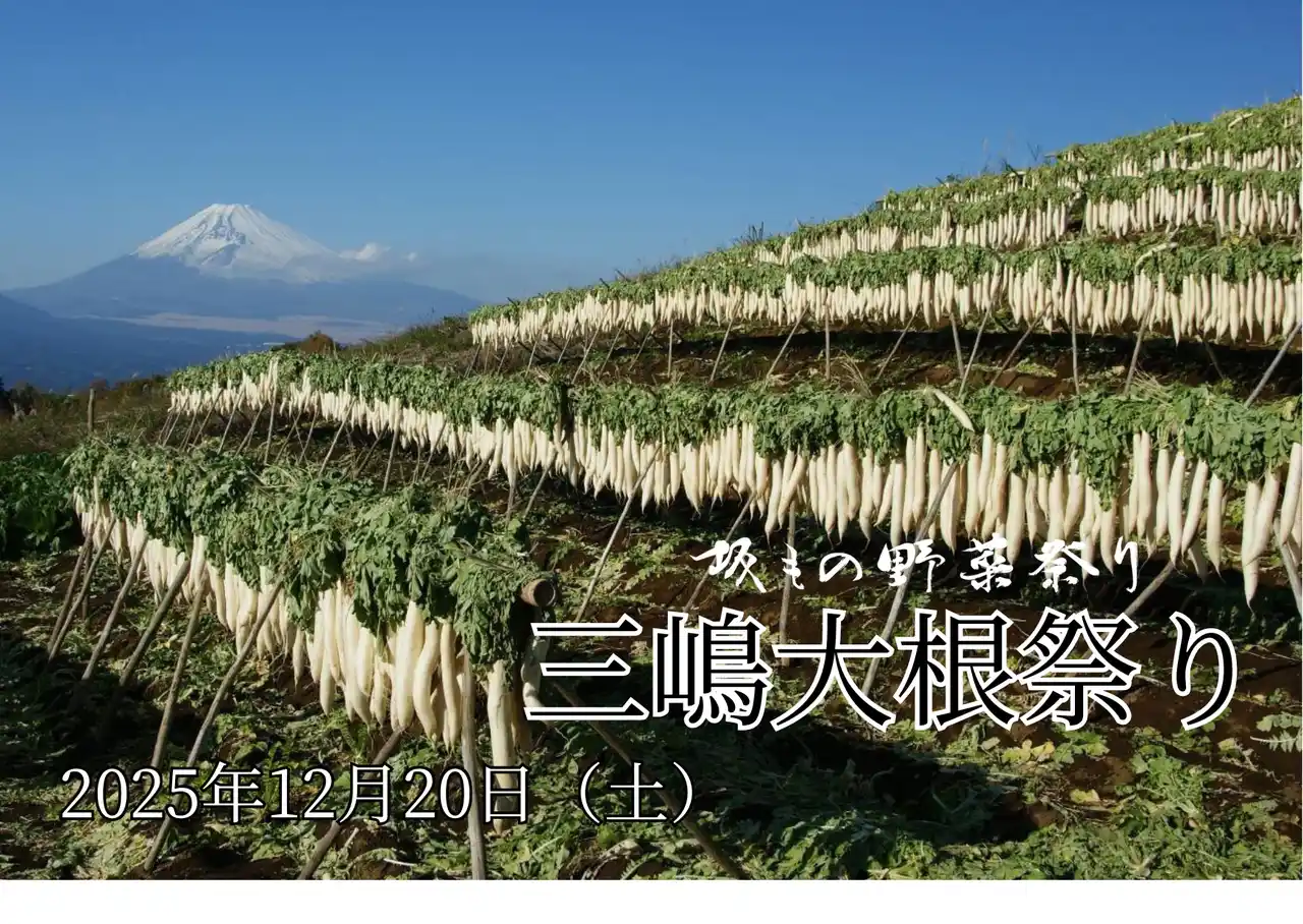 【富士伊豆農業協同組合】【静岡・三島】伝統のたくあん漬けや大根料理を堪能坂もの野菜祭り第３弾「三嶋大根祭り」開催JAの直売所みしまるかんで12月21日に開催
