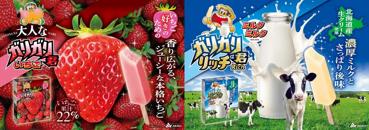 【赤城乳業株式会社】 ジューシーな本格いちご＆濃厚ミルクとさっぱり後味のガリガリ君2品が登場!! どちらもさらに美味しくリニューアル!! 秋に向けた、濃い味と爽やかな後味が楽しめるガリガリ君です。
