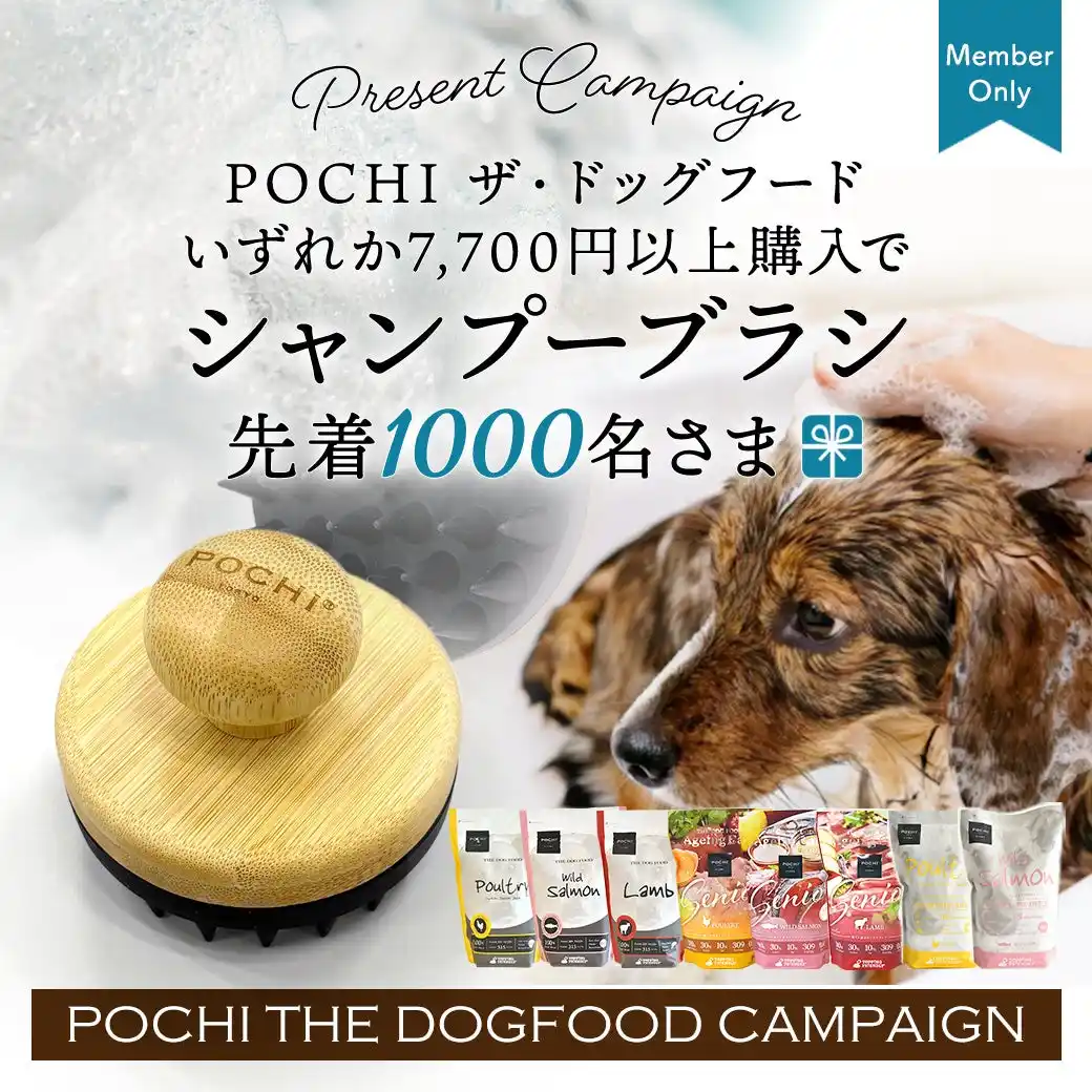 《POCHI》持ち手が竹製の「シャンプーブラシ」を先着1,000名様にプレゼント