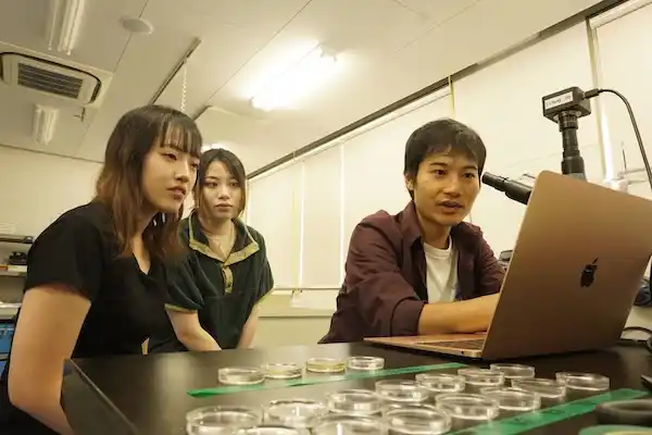 女川町地域おこし協力隊がトリガイ種苗生産に成功！町内4か所で養殖を開始 町の水産業に“次の一手”　女川の新たな特産物として、産業創出＆水産業再興へ