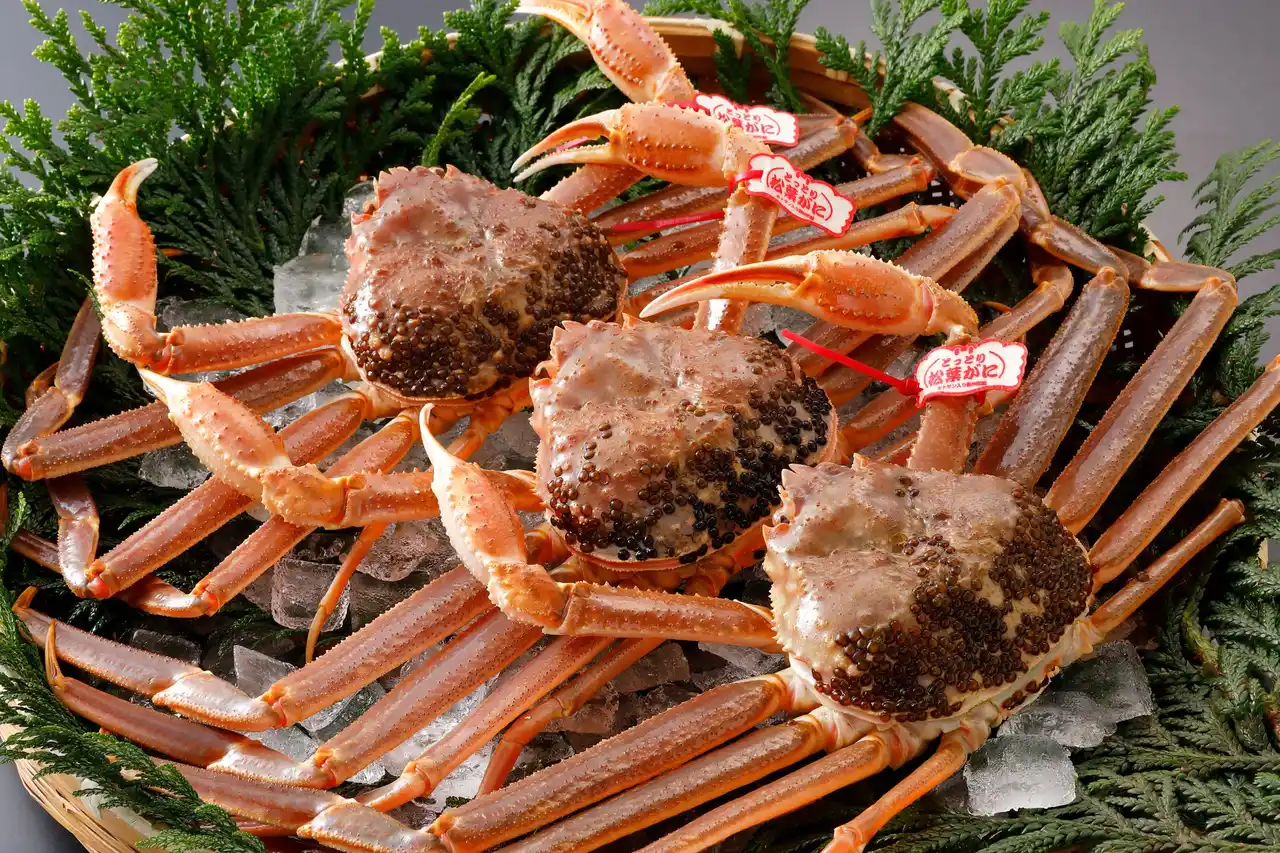 鳥取のカニ文化を次の100年へーー中村商店 創業100年キャンペーン実施