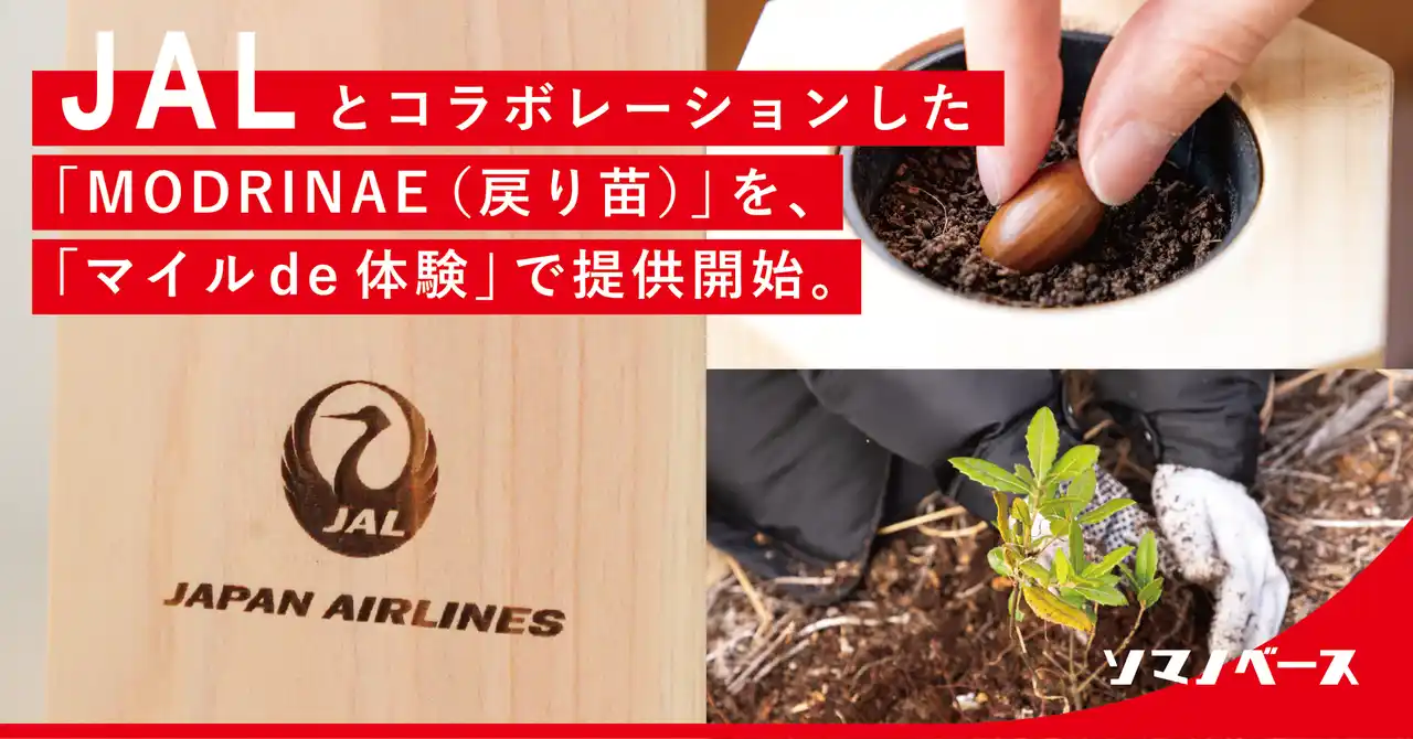 【株式会社ソマノベース】 JALとコラボレーションした「MODRINAE（戻り苗）」を『マイル de 体験』で提供開始