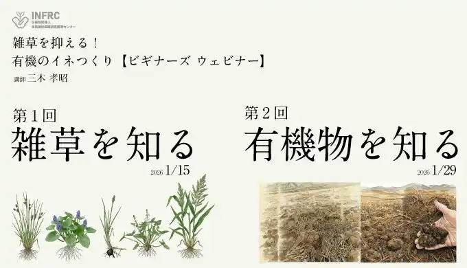 【公益財団法人 自然農法センター】 【1/15・29 オンライン開催】　雑草・有機物を知って『雑草を抑える！有機のイネつくり【ビギナーズ ウェビナー】』
