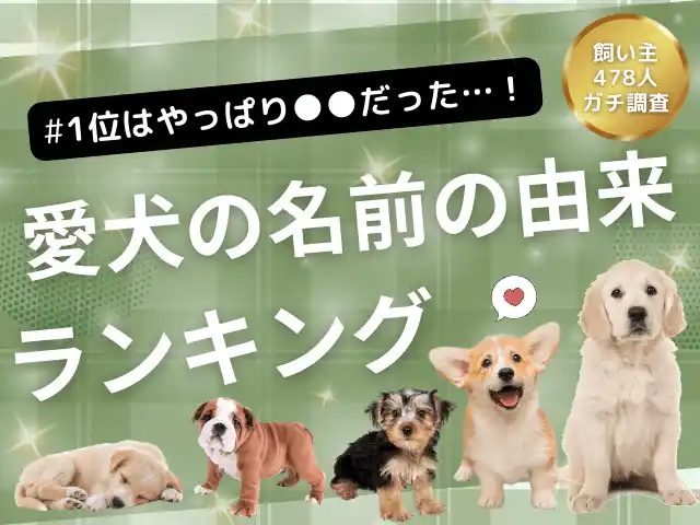 【株式会社エイト】 【飼い主478人に調査】やっぱり一番は●●だった！愛犬の名前に隠された由来ランキング