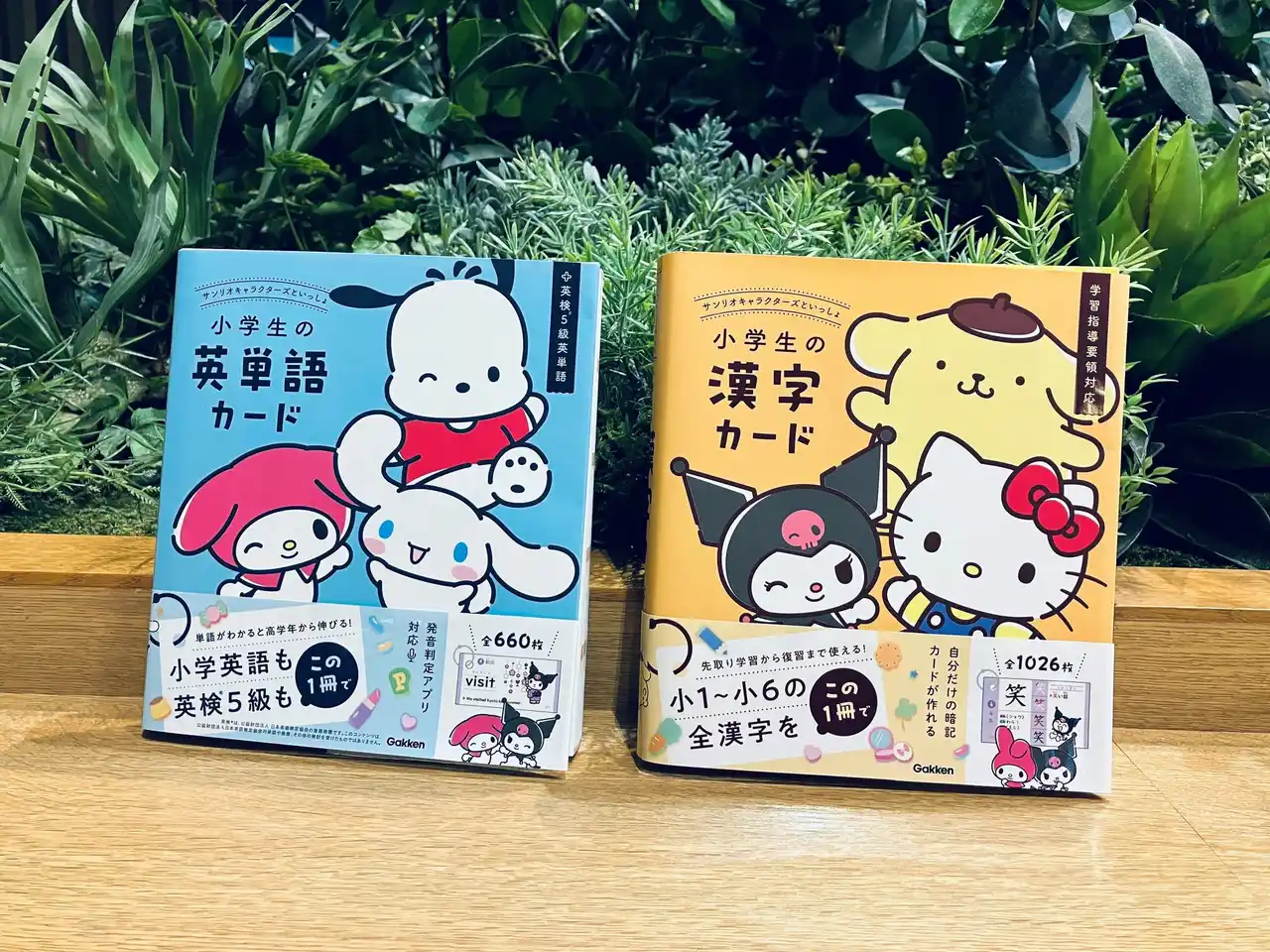 “かわいくて何度も見たくなる” が英単語や漢字を覚えやすくするポイント！ 『サンリオキャラクターズといっしょ　小学生の英単語カード／漢字カード（リングつき）』が新発売！