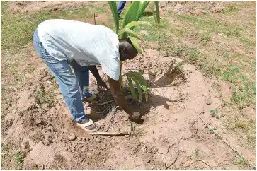 【ソニー銀行株式会社】 独立行政法人国際協力機構（JICA）が開発途上国で推進する Synecoculture(TM)への支援開始のお知らせ