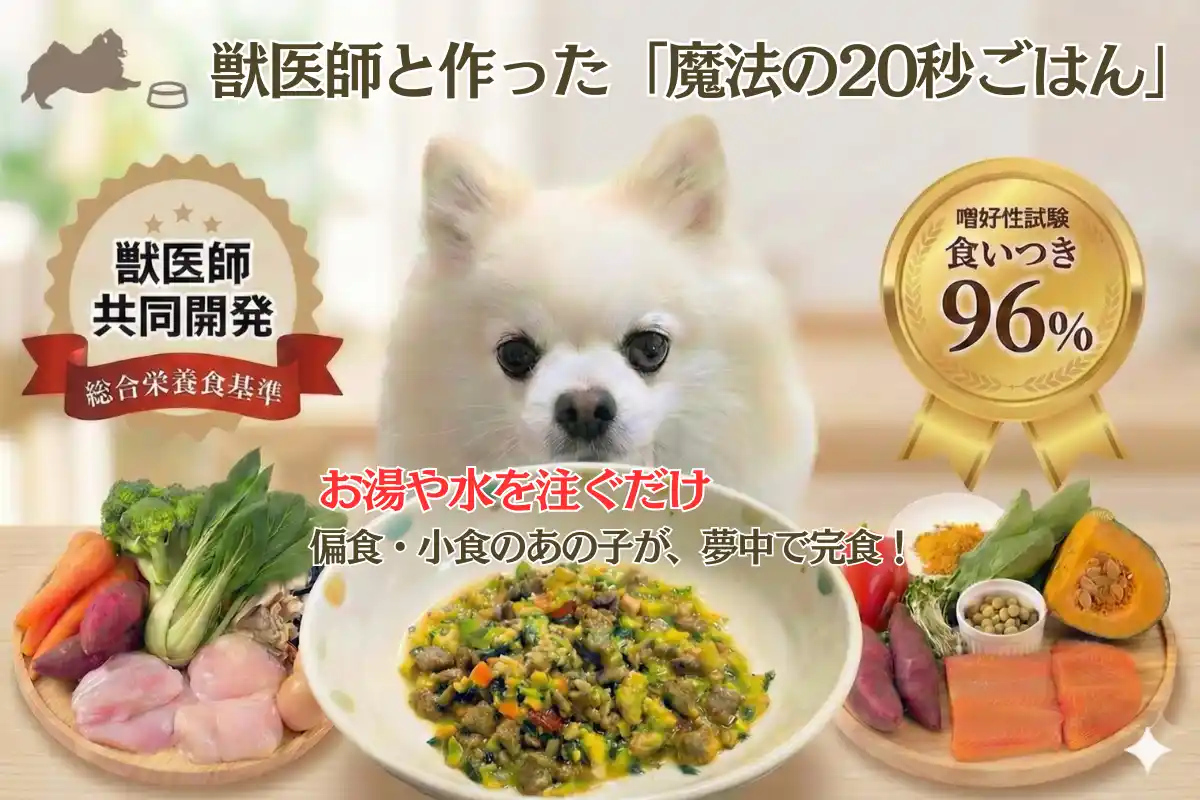 【食いつき96%】偏食の愛犬が夢中で完食！獣医師と共同開発した“魔法の20秒ごはん”「そららのるるる」 クラウドファンディング開始12時間で目標達成