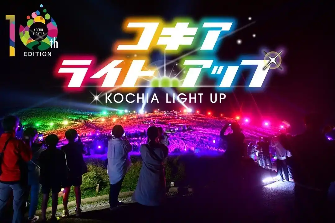 コキアライトアップ2025 プレスプレビュー のご案内（国営ひたち海浜公園）