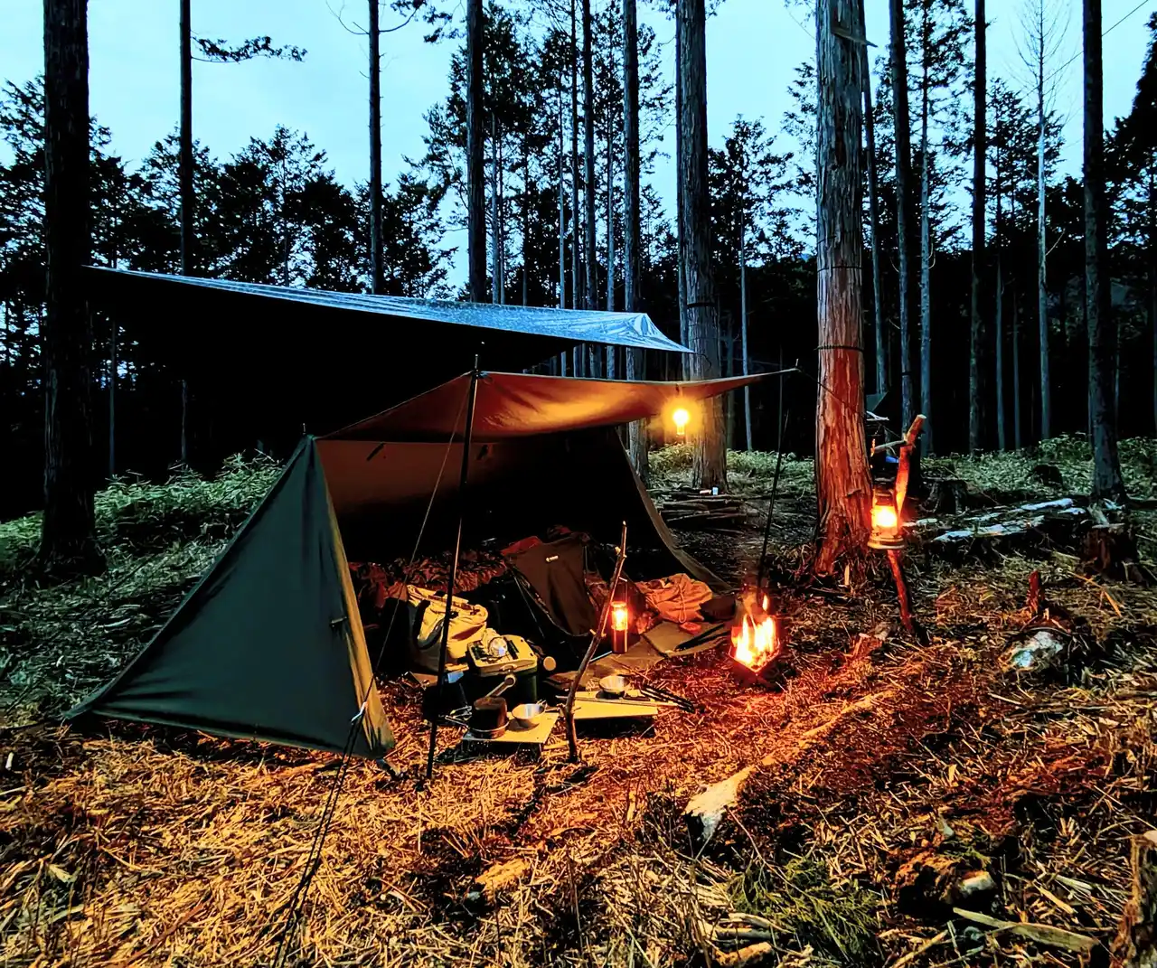 栃木県日光市にフォレンタの新エリア誕生。赤沢の清流と杉檜の森を年間レンタルで開放