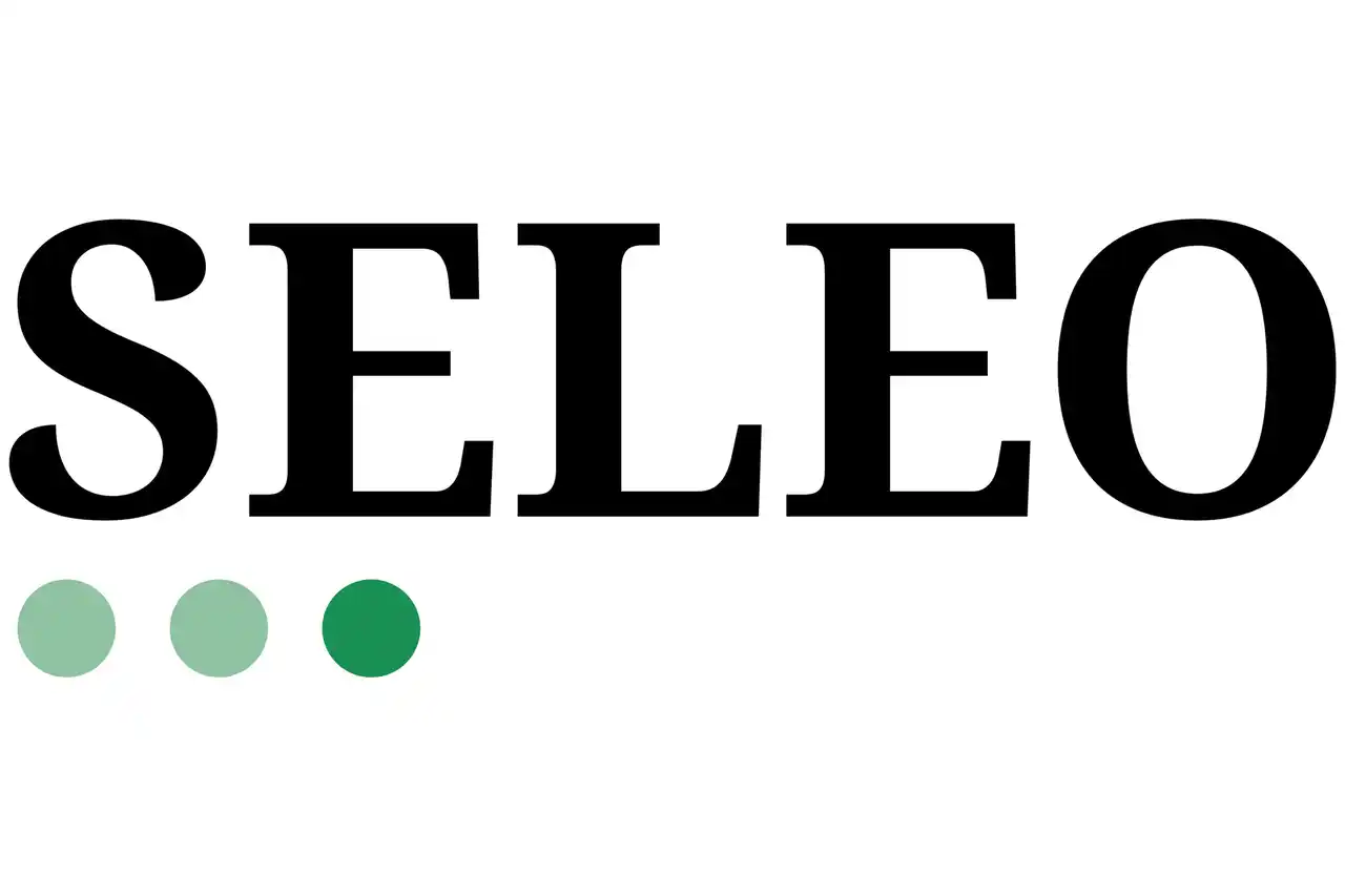 【株式会社SELEO】 戦略系ブティックファームのSELEOが、ミッション・ビジョン・バリューを策定