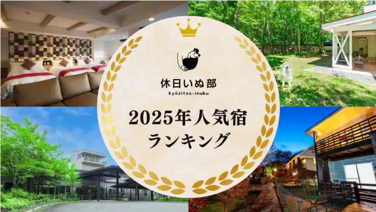 休日いぬ部が最も人気を集めた全国の宿を大公開！『ペットと泊まれる宿』2025年人気宿ランキングを発表