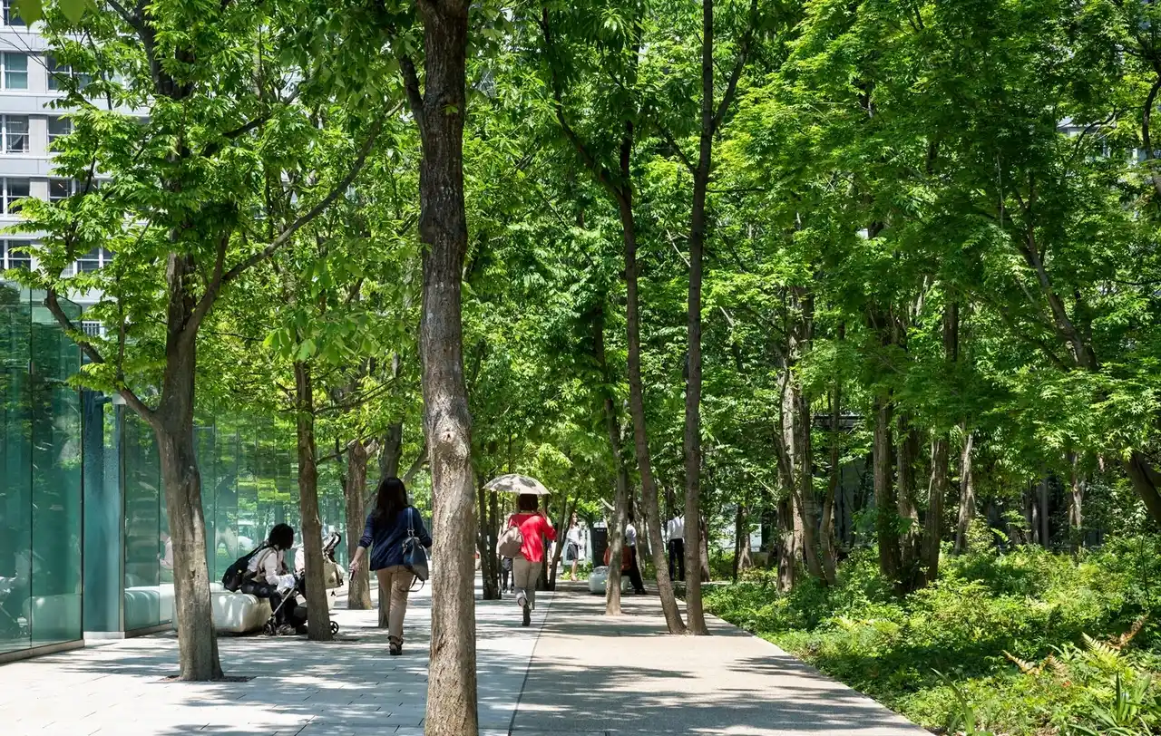 【東京建物株式会社】 都市緑地がウェルビーイング向上に与える影響を科学的に検証 東京建物と森林総研、共同研究を「大手町の森」で開始