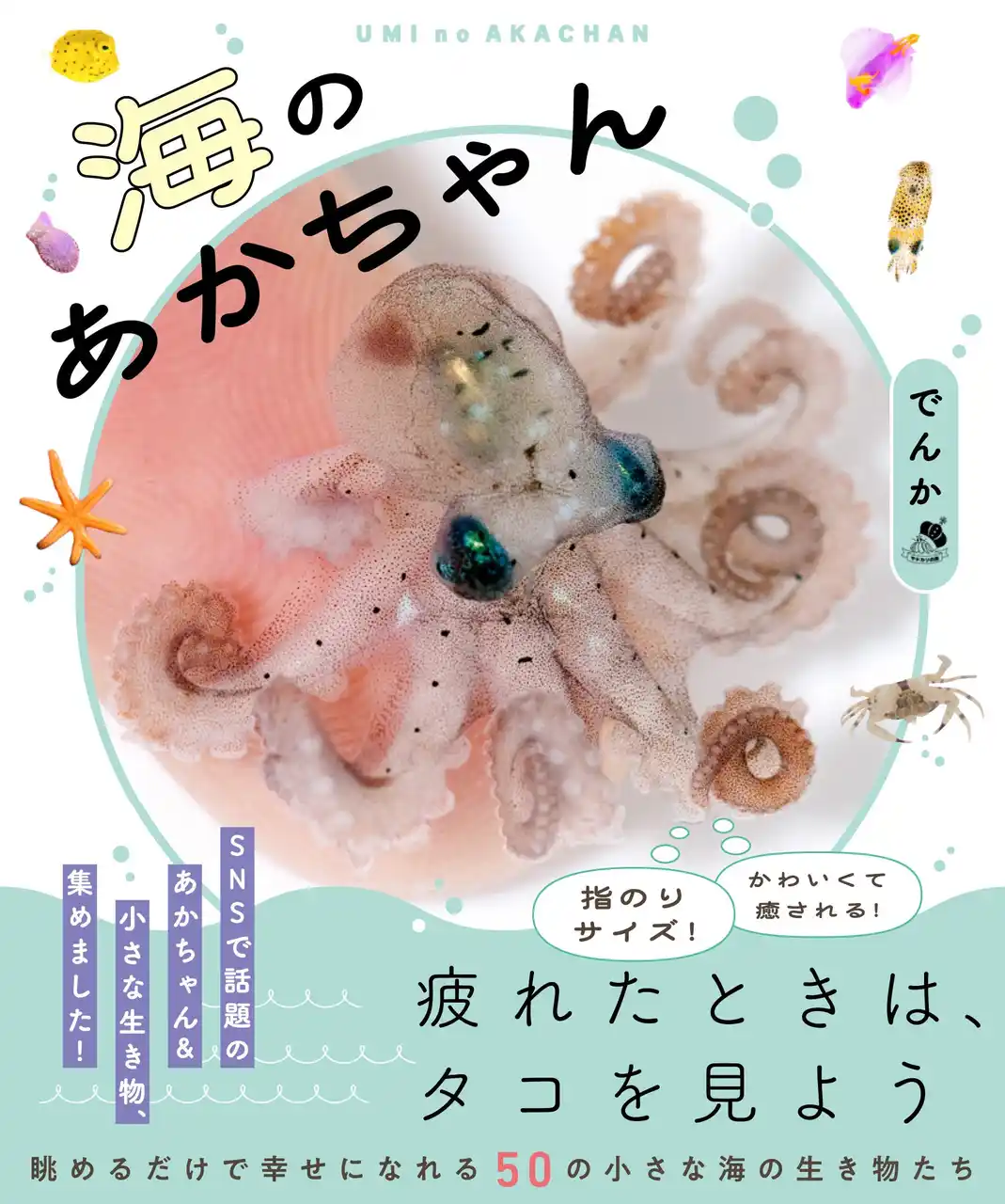 【自由研究にも大活躍】疲れたときに癒される！指先ほどの小さな生物たちの生態写真集『海のあかちゃん』8月1日発売！