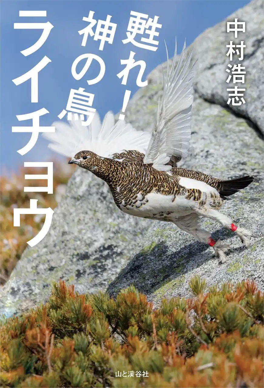 【インプレスグループ】 たった1羽のライチョウからわずか5年で130羽に！？　一人の鳥類学者による奇跡のストーリー『甦れ！神の鳥ライチョウ』 発売