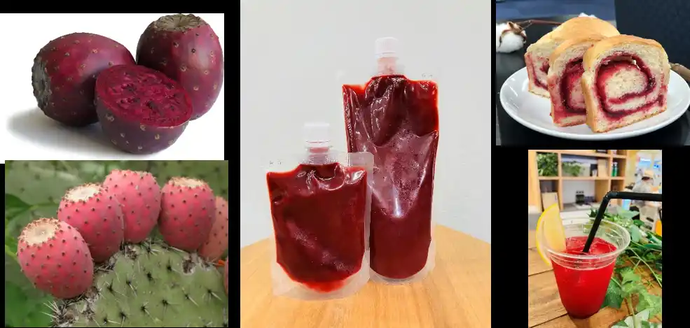 【綿半ホールディングス株式会社】 綿半からプリックリーペアピューレ新規格「サボテンフルーツピューレ」が登場！