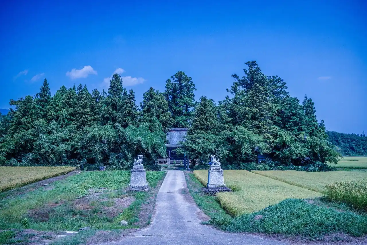 【株式会社on the trip】 さどの島銀河芸術祭 2025｜公式音声ガイドをON THE TRIPが制作