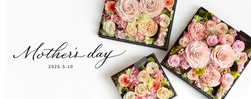 アモローサモデルノ 2026年母の日特集