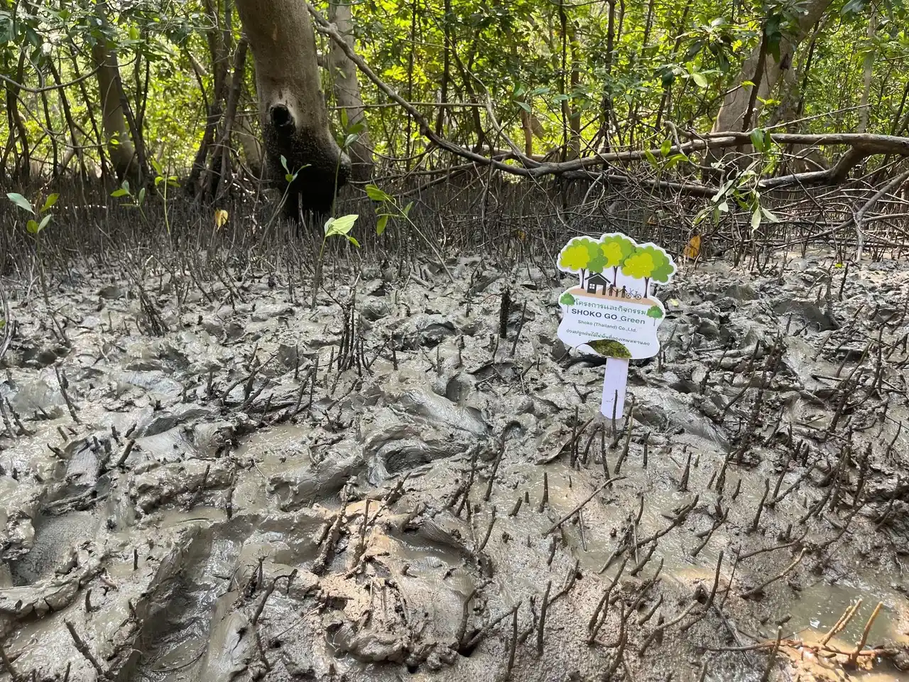 【昭光通商株式会社】 昭光通商のタイ拠点、EcoVadis「シルバーメダル」獲得