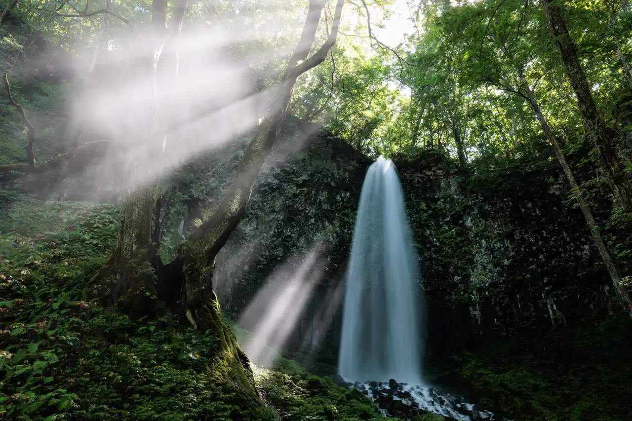 【TOWADA TRAVEL】 「第39回十和田湖の四季写真コンテスト」結果発表