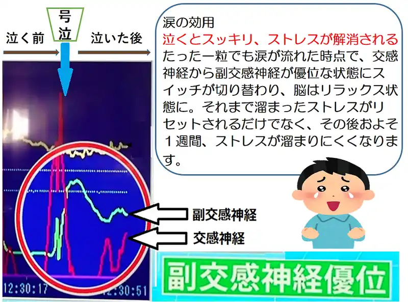涙の効用.png