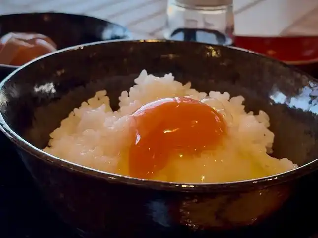 【福井県あわら市】 朝から贅沢!「蓮如の里」で味わう濃厚卵かけご飯