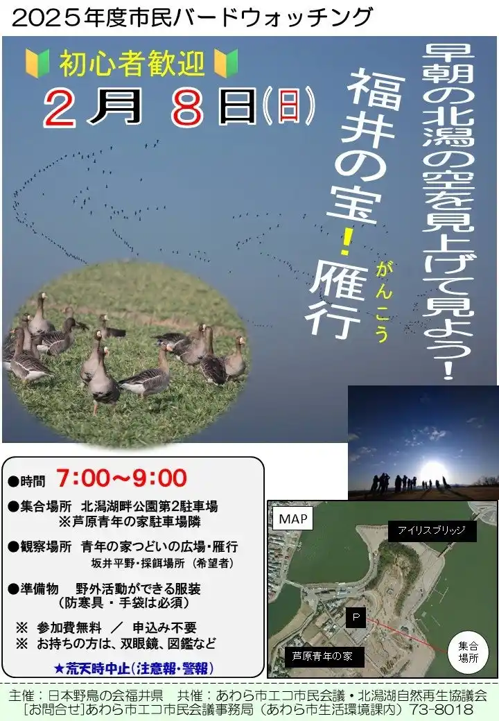 【福井県あわら市】 福井の宝！雁行ウォッチング