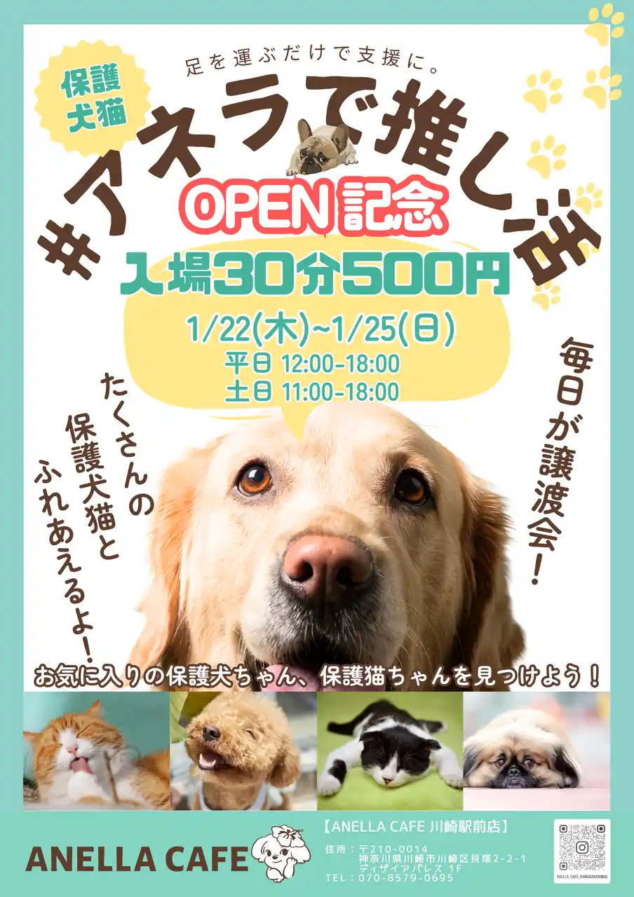 【ANELLA Group】 【神奈川・川崎】全国20店舗目となる保護犬猫ふれあいカフェ「ANELLA CAFE 川崎駅前店」1月22日オープン