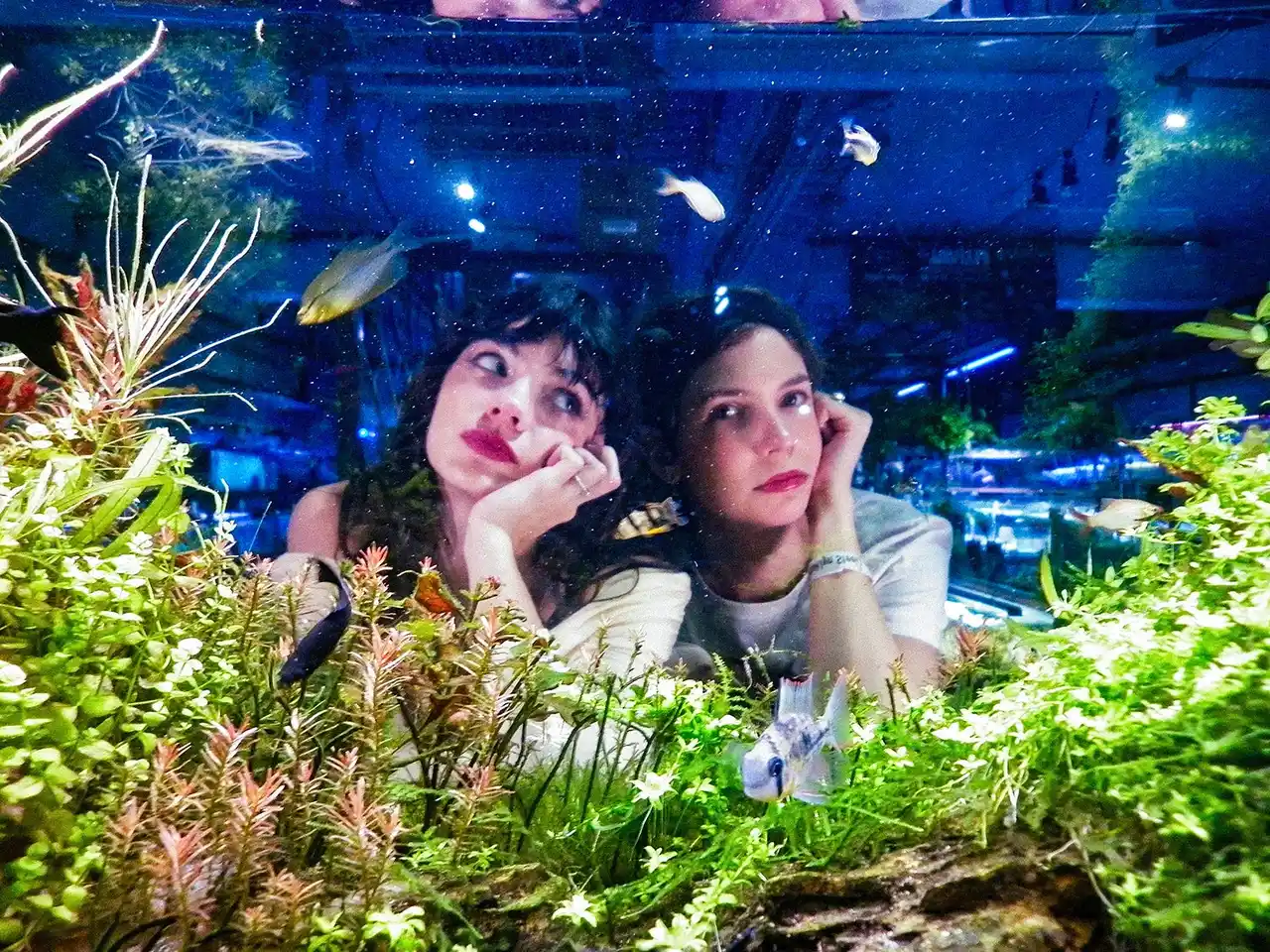 【The Orchard Japan】 アルゼンチン発のインディーロックデュオPACIFICA（パシフィカ）ニューシングル「Fixer Upper」をリリース、同時にMVを公開