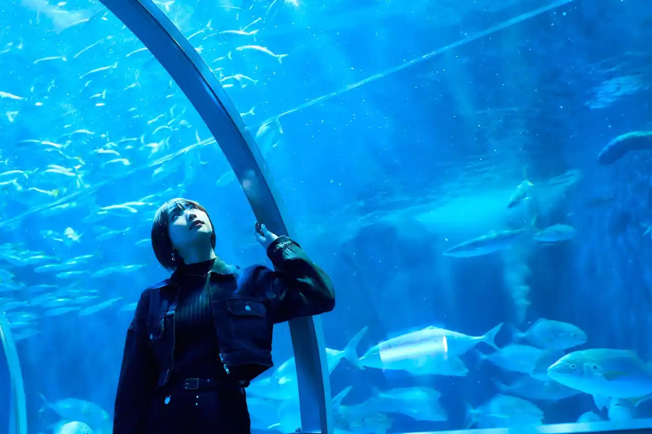 【北海道登別市】 映えもスケールも桁違い！お城にしか見えない水族館【登別マリンパークニクス】