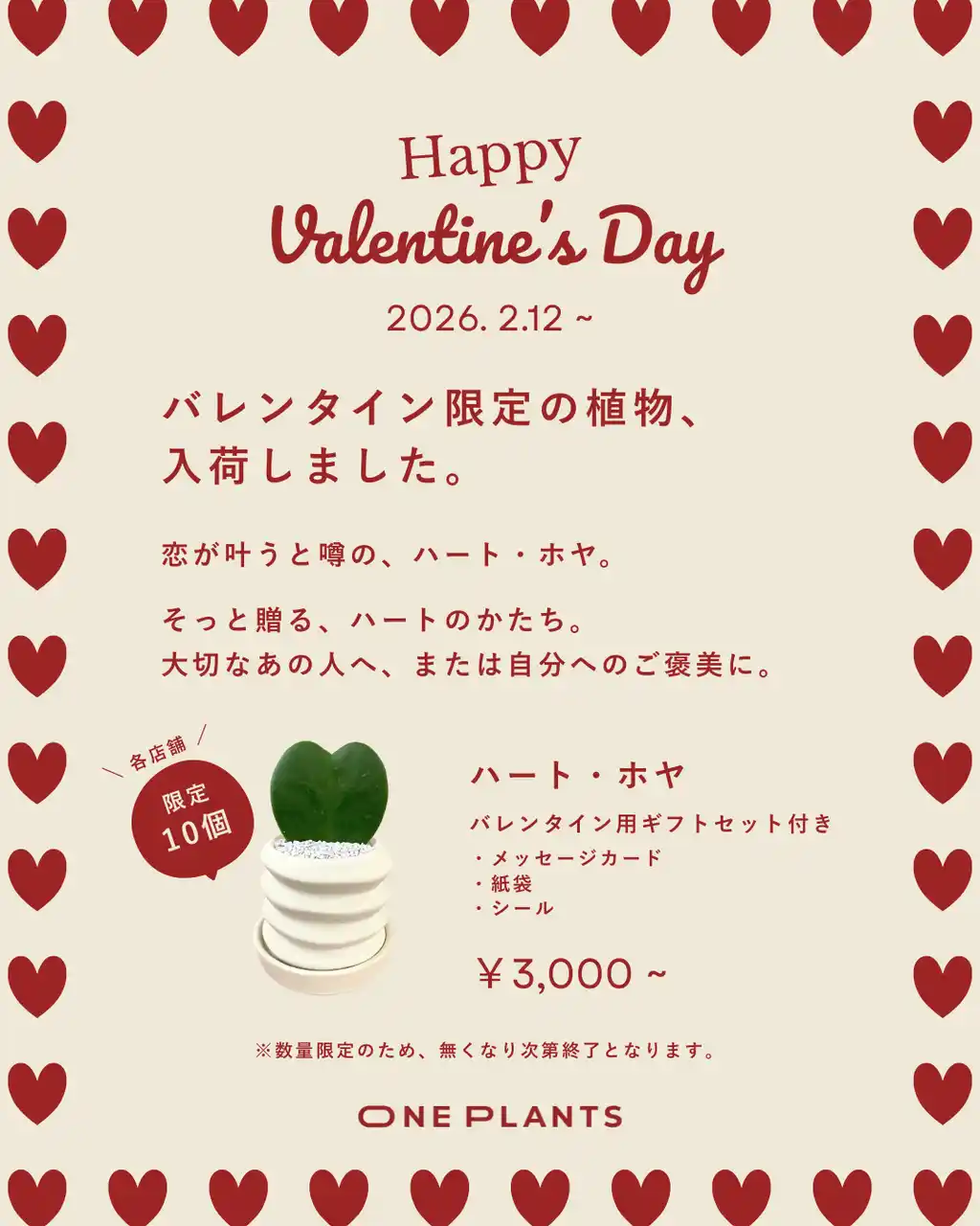 バレンタインに“ハートの観葉植物”を贈る新提案 ONE PLANTS、限定「ハート・ホヤ」販売開始
