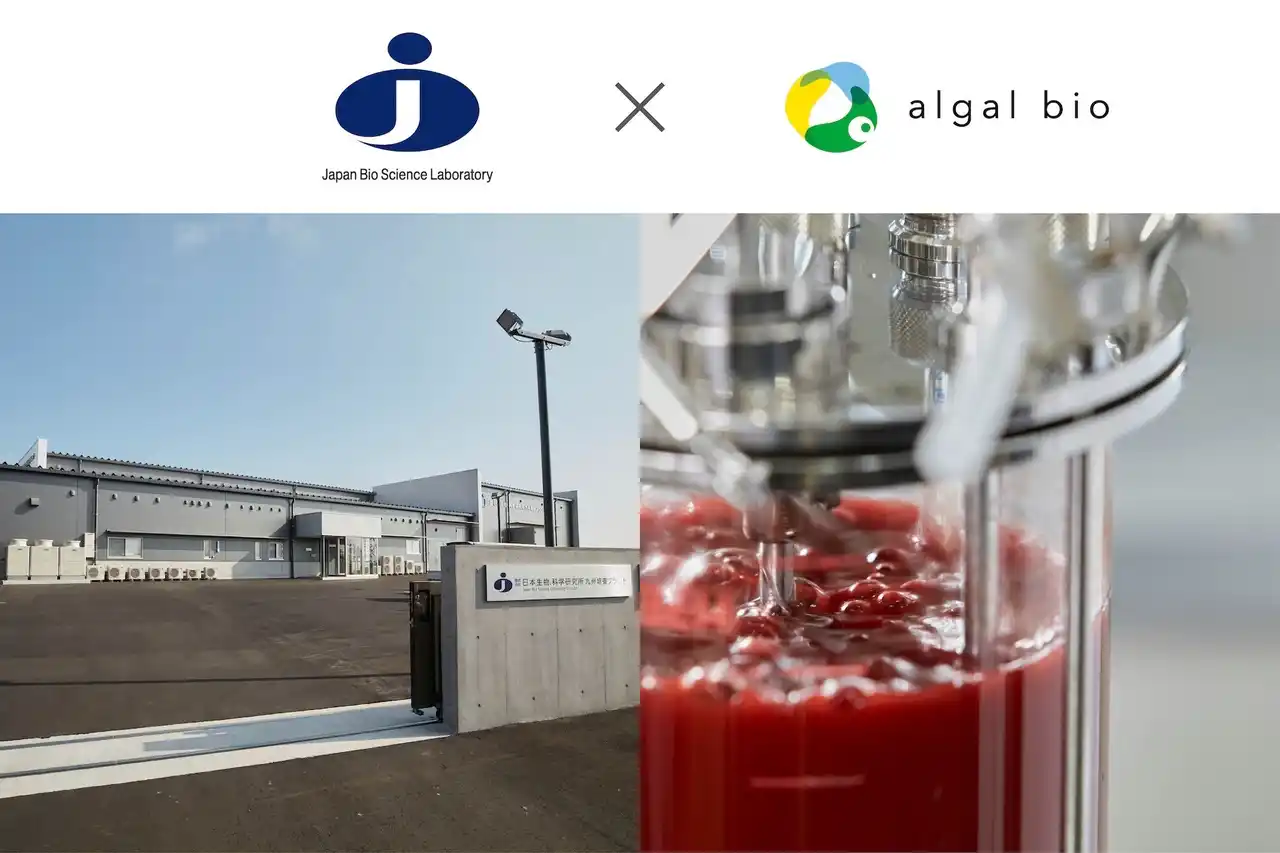 【株式会社アルガルバイオ】 アスタキサンチン高含有の藻類製造、商用化へ - アルガルバイオと日本生物科学研究所の共同開発が結実